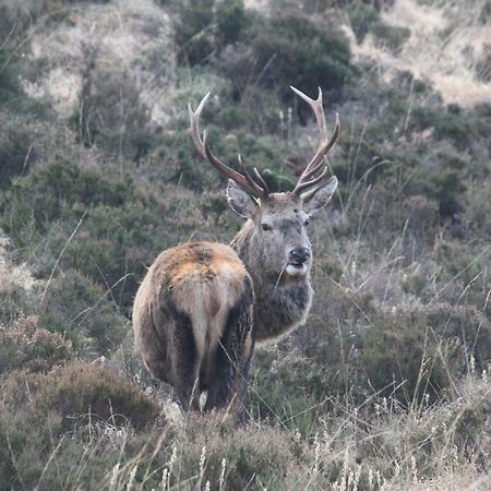 Casa Poco Bed and Breakfast Ballachulish Εξωτερικό φωτογραφία
